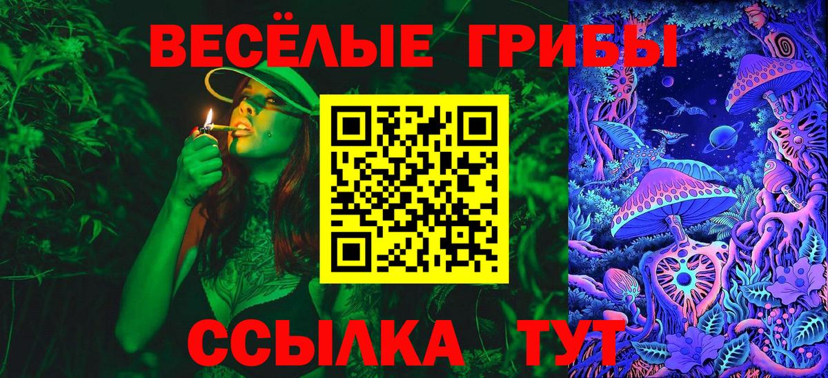 Псилоцибиновые грибы мухоморы Чайковский