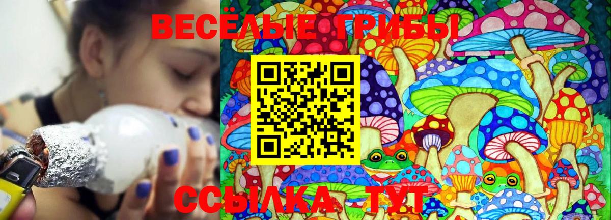 Чайковский  Галлюциногенные грибы ЛСД  Вход с VPN 